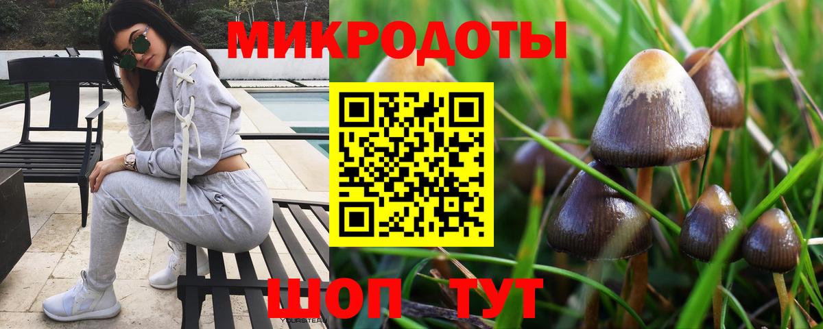 Галлюциногенные грибы MAGIC MUSHROOMS Городец