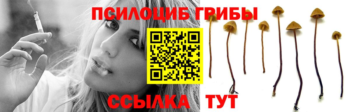 Псилоцибиновые грибы Psilocybine cubensis  Вход с VPN  Городец 